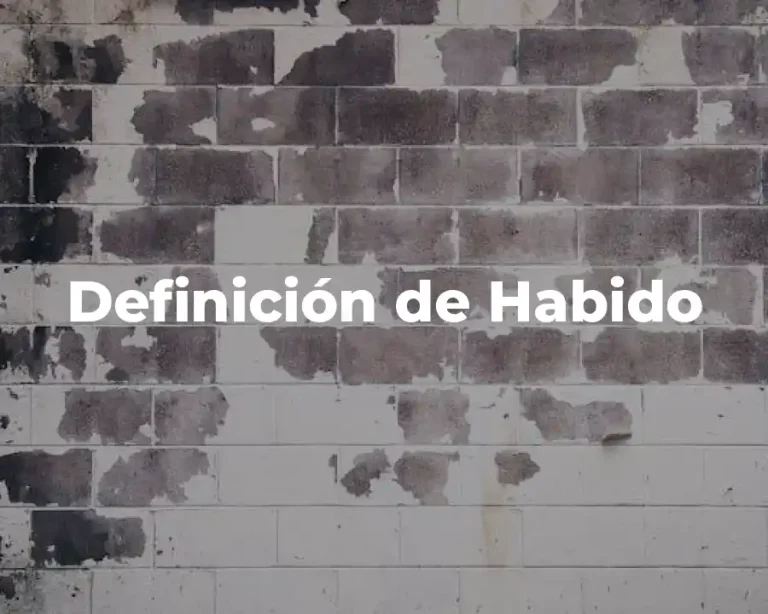 Definición de Habido