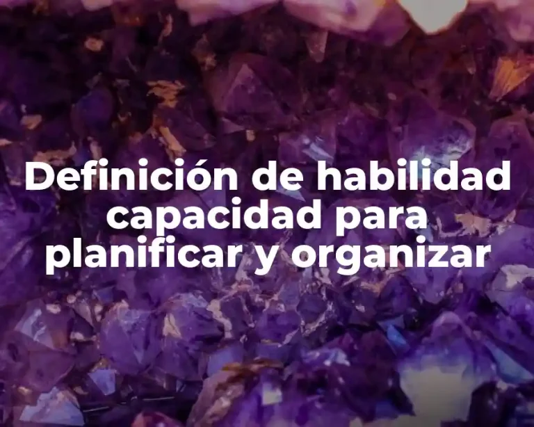 Definición de habilidad capacidad para planificar y organizar
