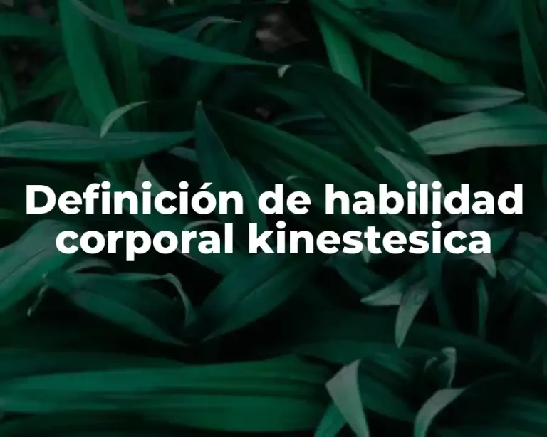 Definición de habilidad corporal kinestesica