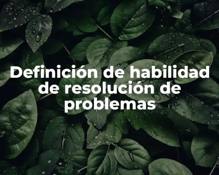 Definición de habilidad de resolución de problemas