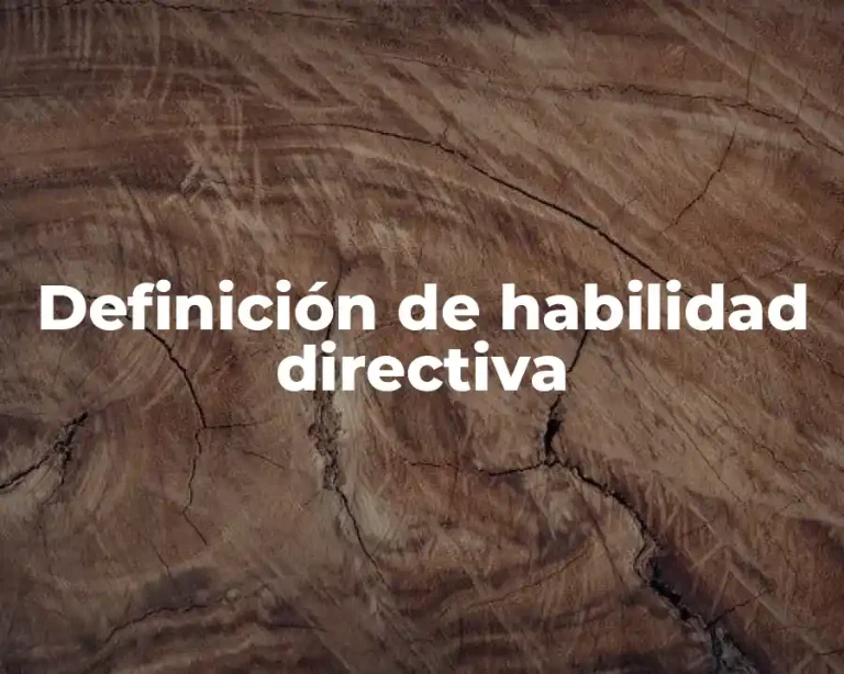Definición de habilidad directiva