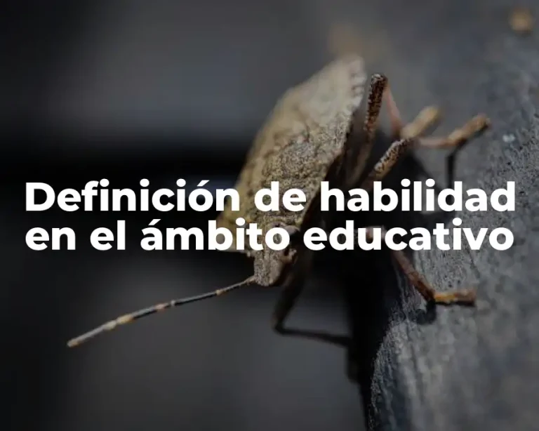 Definición de habilidad en el ámbito educativo