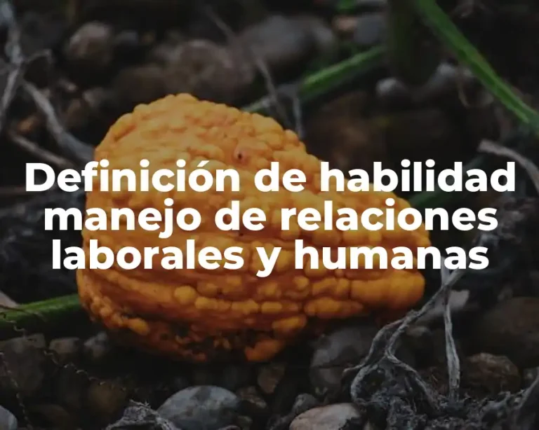 Definición de habilidad manejo de relaciones laborales y humanas