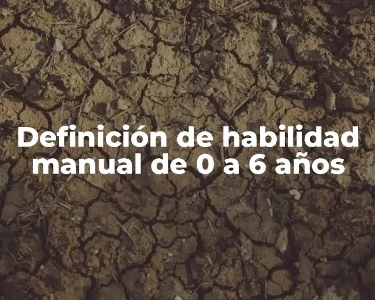 Definición de habilidad manual de 0 a 6 años