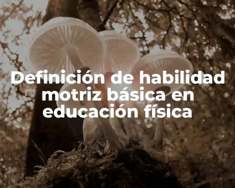 Definición de habilidad motriz básica en educación física