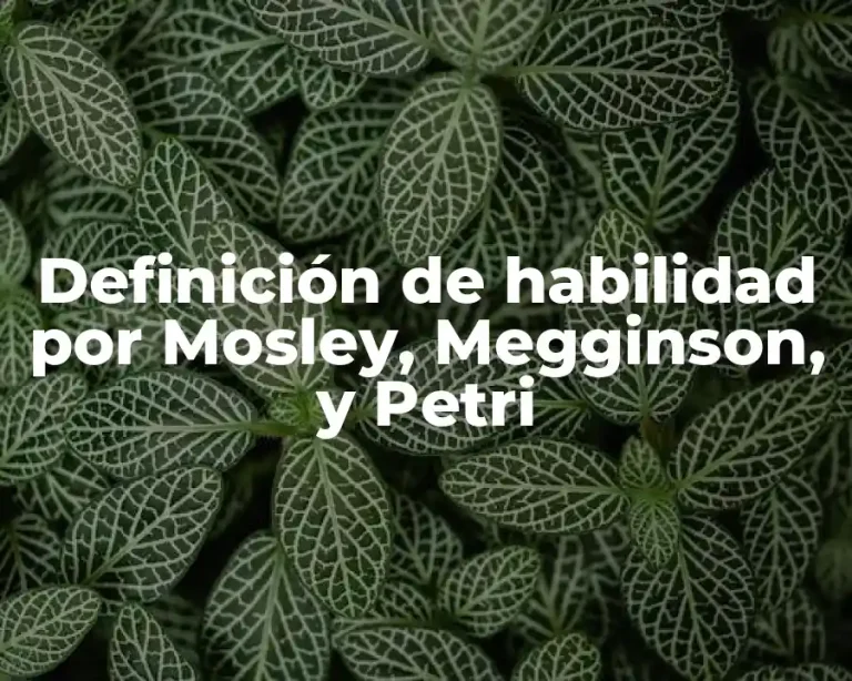 Definición de habilidad por Mosley, Megginson, y Petri