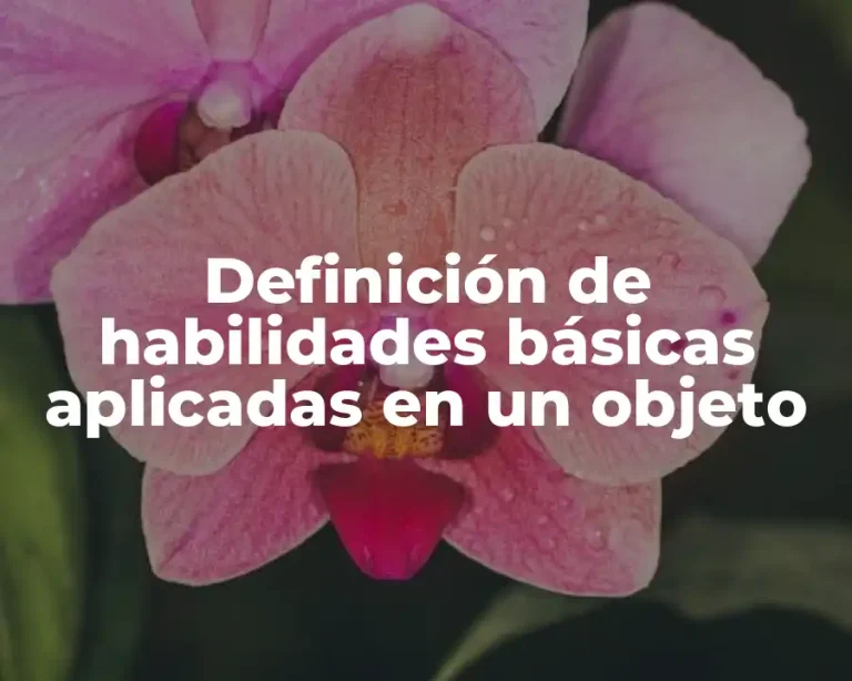 Definición de habilidades básicas aplicadas en un objeto