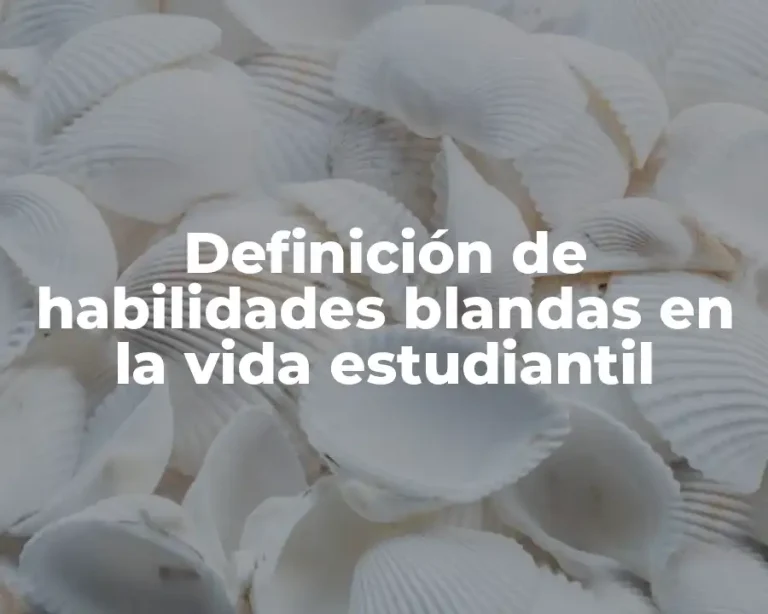 Definición de habilidades blandas en la vida estudiantil