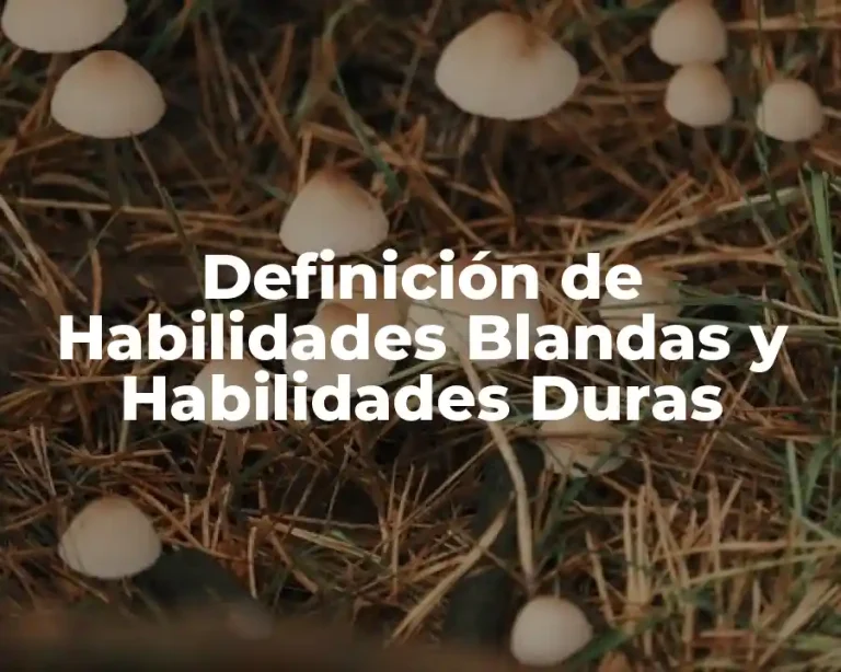 Definición de Habilidades Blandas y Habilidades Duras