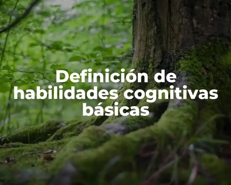 Definición de habilidades cognitivas básicas
