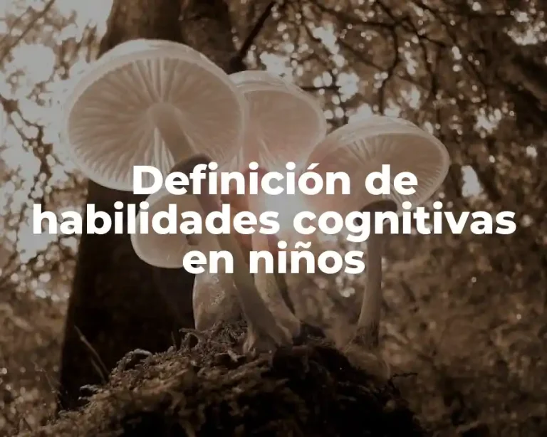 Definición de habilidades cognitivas en niños