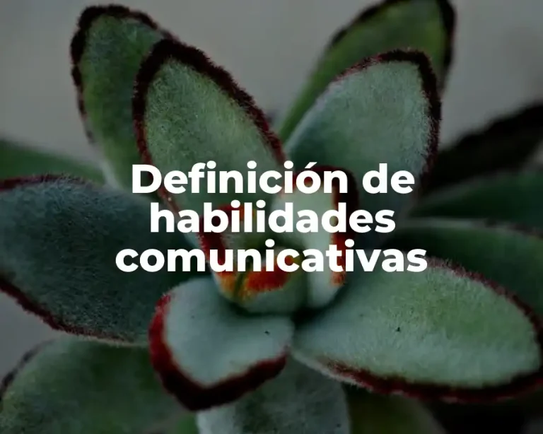 Definición de habilidades comunicativas