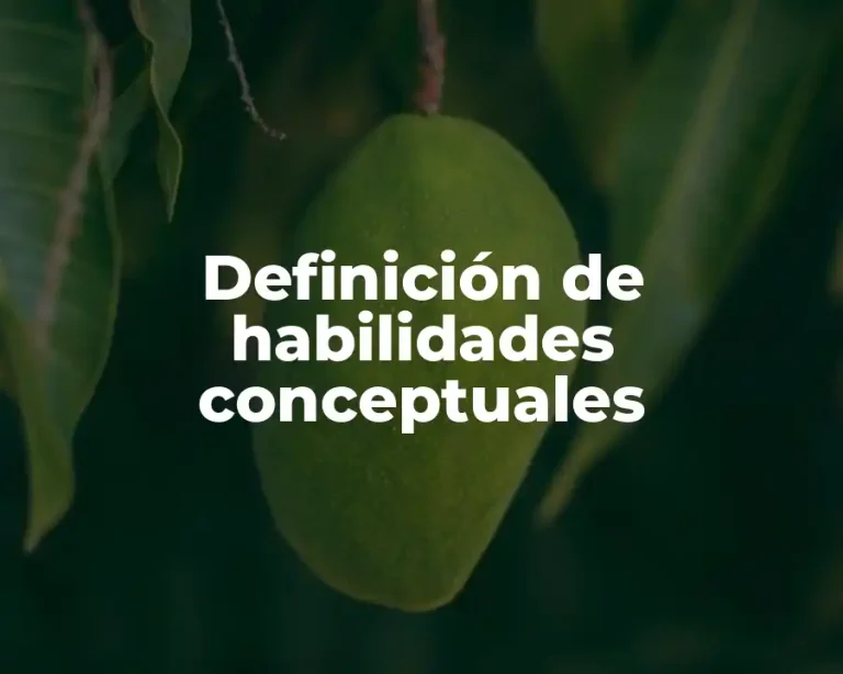 Definición de habilidades conceptuales