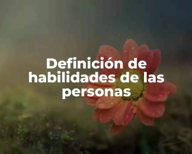 Definición de habilidades de las personas