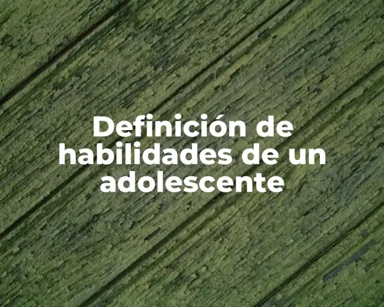 Definición de habilidades de un adolescente