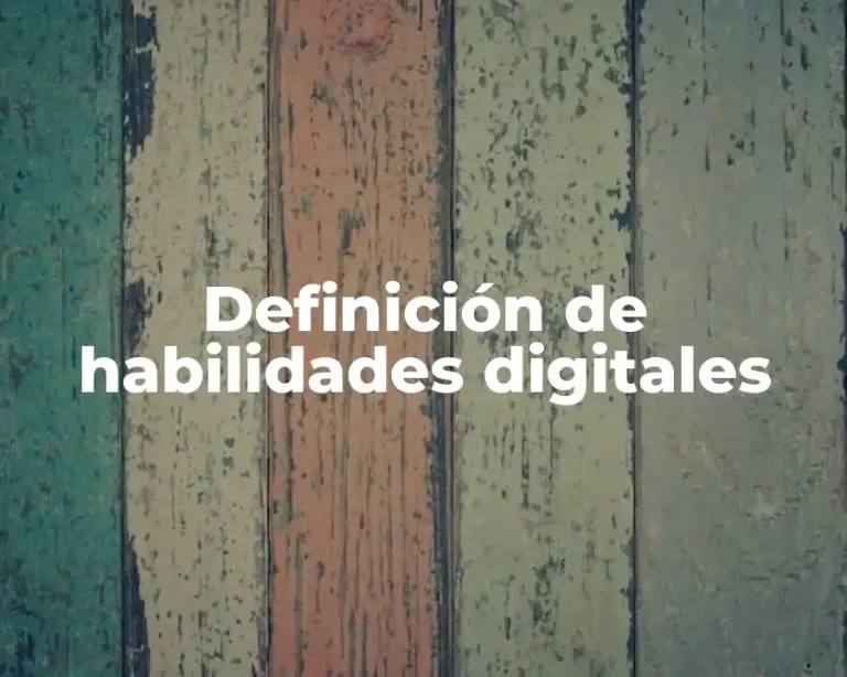 Definición de habilidades digitales