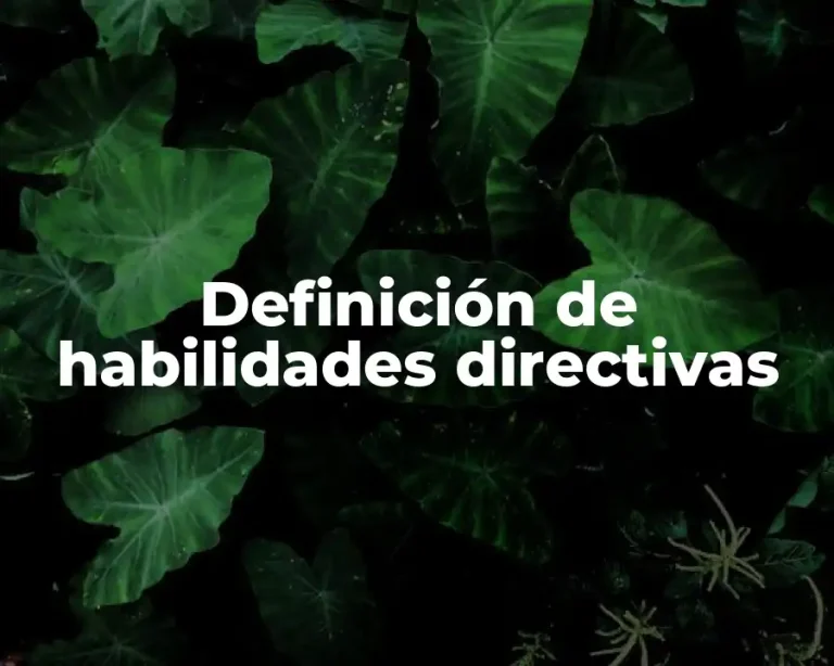 Definición de habilidades directivas
