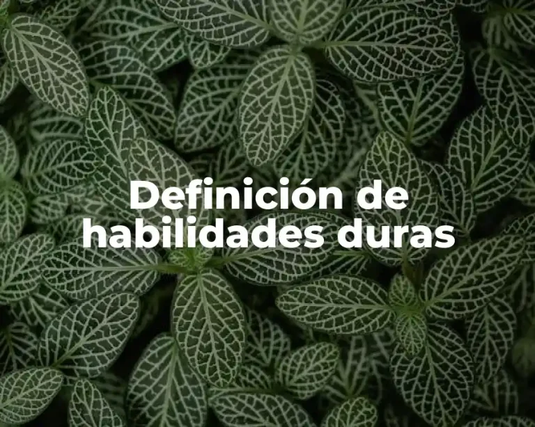 Definición de habilidades duras