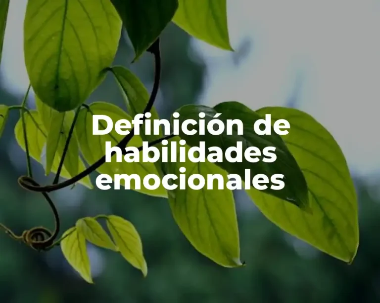 Definición de habilidades emocionales