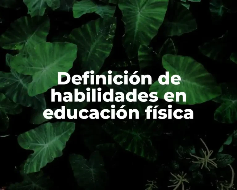 Definición de habilidades en educación física