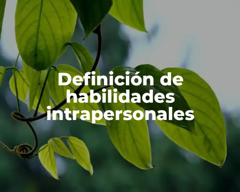 Definición de habilidades intrapersonales