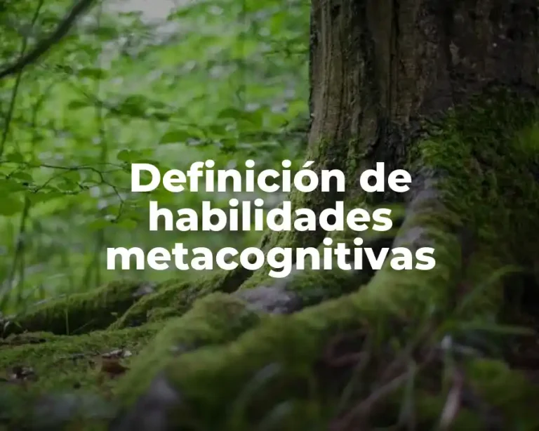 Definición de habilidades metacognitivas
