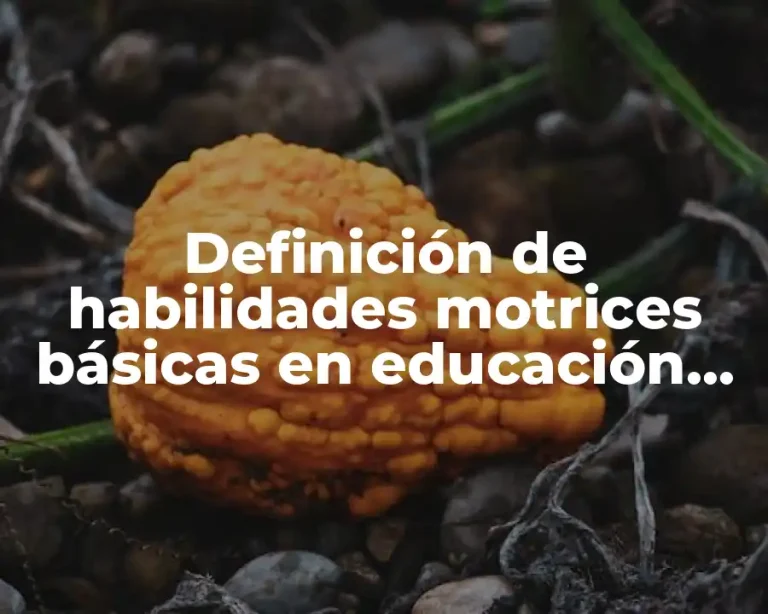 Definición de habilidades motrices básicas en educación física