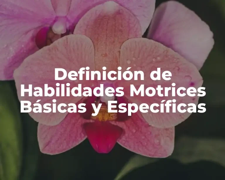 Definición de Habilidades Motrices Básicas y Específicas