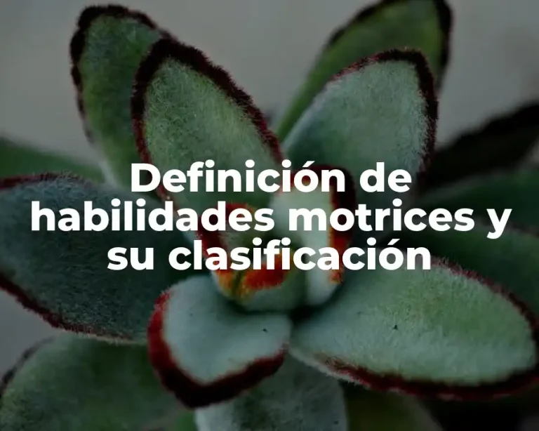 Definición de habilidades motrices y su clasificación