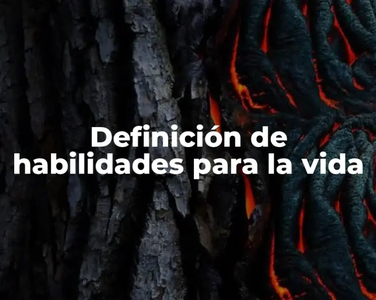 Definición de habilidades para la vida