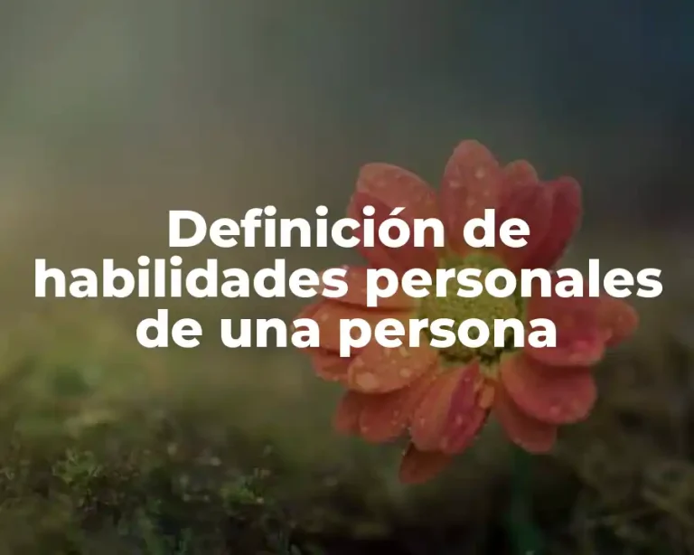 Definición de habilidades personales de una persona