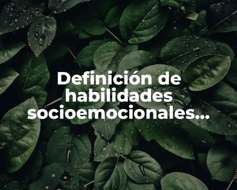 Definición de habilidades socioemocionales actitudes e interese