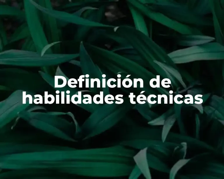Definición de habilidades técnicas