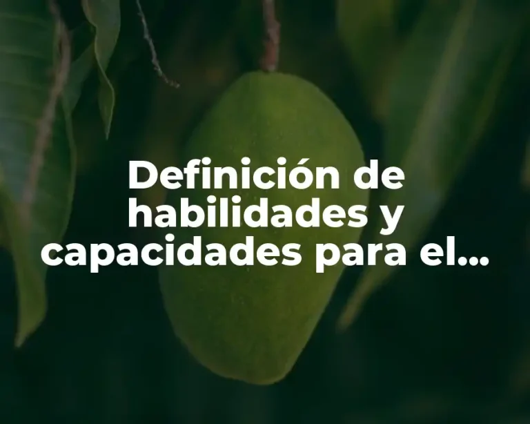 Definición de habilidades y capacidades para el perfil grupal