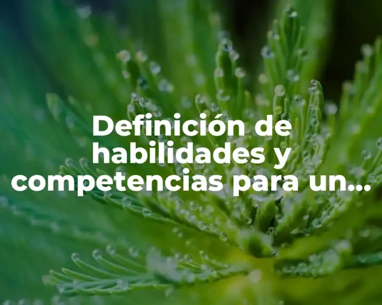 Definición de habilidades y competencias para un currículum