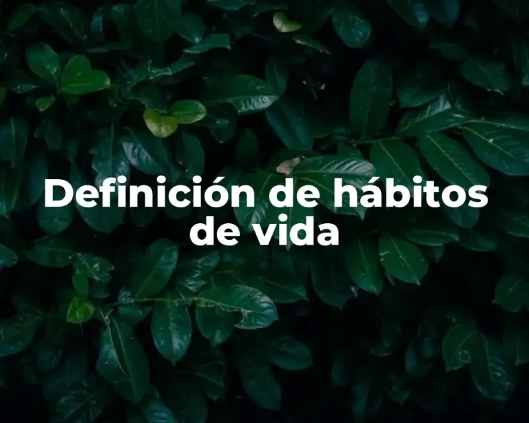 Definición de hábitos de vida
