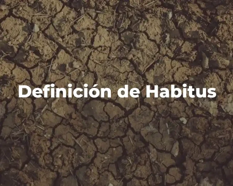 Definición de Habitus