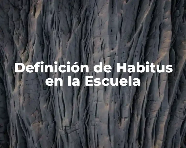 Definición de Habitus en la Escuela