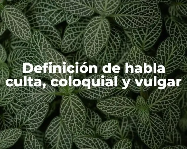 Definición de habla culta, coloquial y vulgar