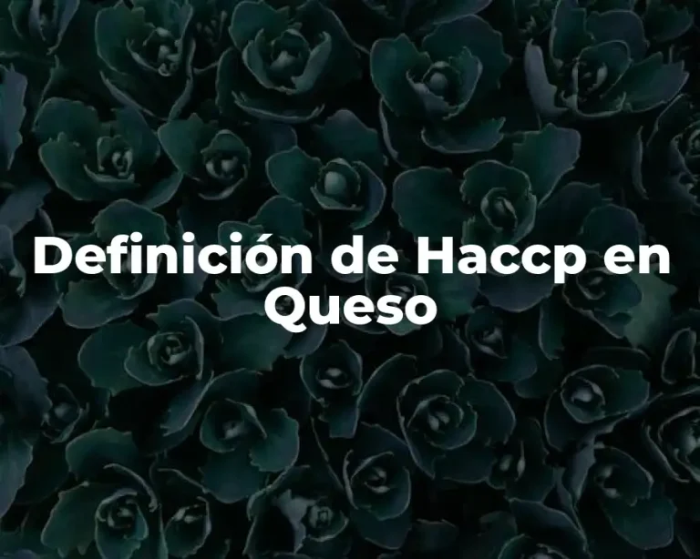 Definición de Haccp en Queso