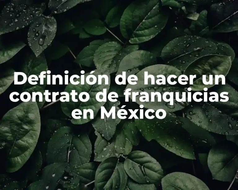 Definición de hacer un contrato de franquicias en México