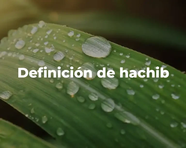 Definición de hachib