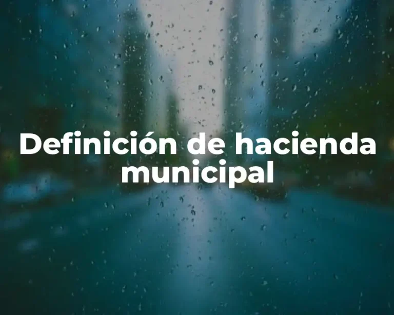 Definición de hacienda municipal