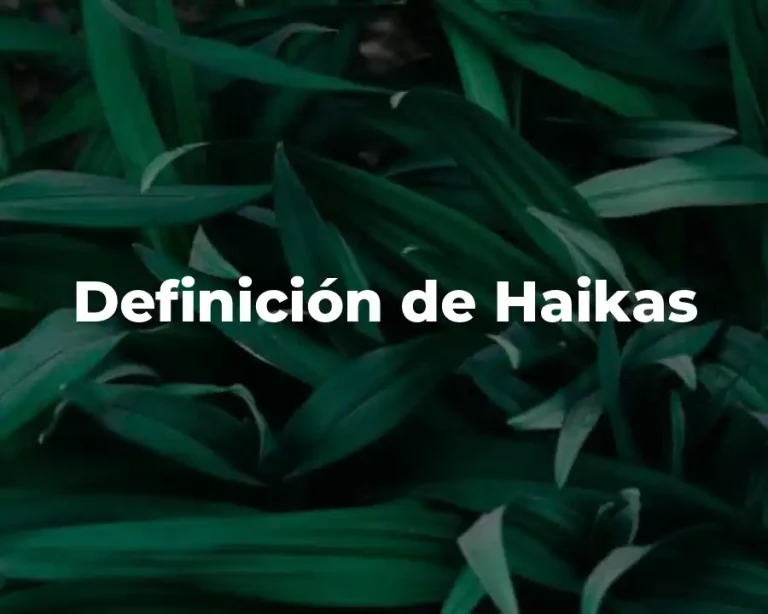 Definición de Haikas