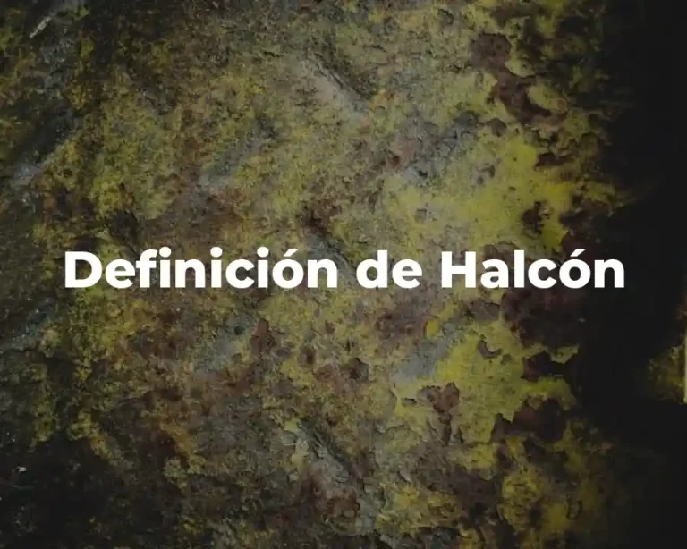 Definición de Halcón