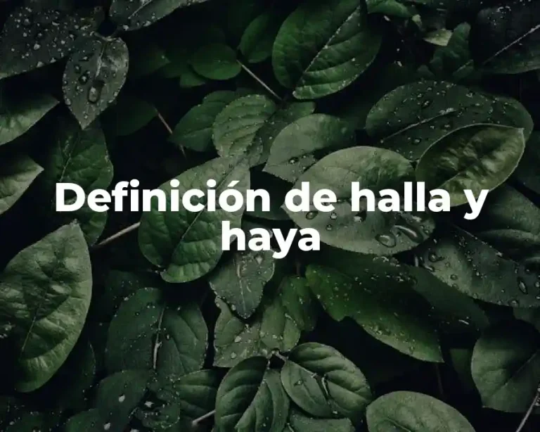 Definición de halla y haya
