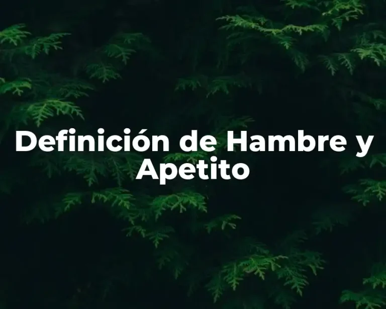 Definición de Hambre y Apetito