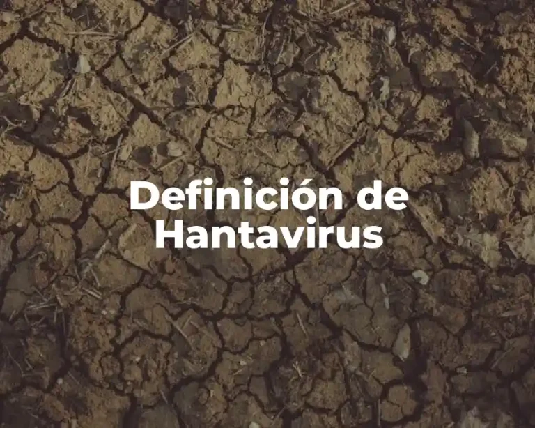 Definición de Hantavirus