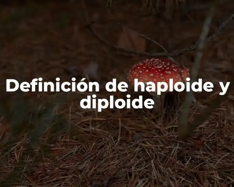 Definición de haploide y diploide