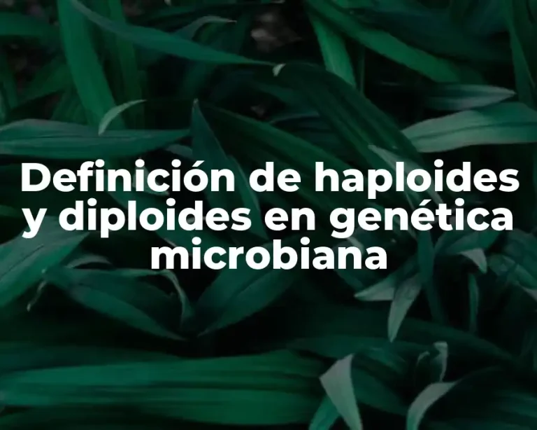 Definición de haploides y diploides en genética microbiana